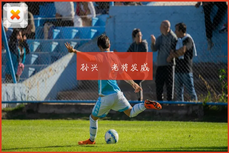 孙兴慜老将发威