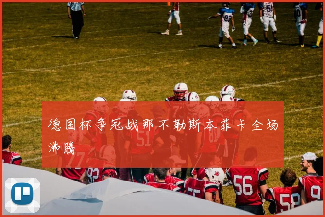 德国杯争冠战那不勒斯本菲卡全场沸腾