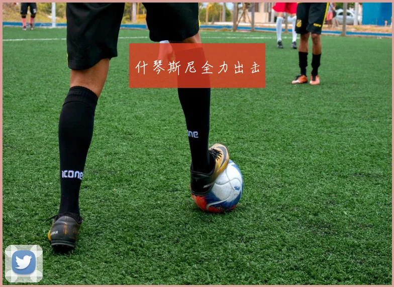 什琴斯尼全力出击