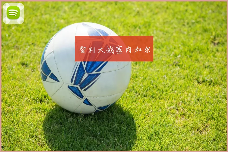 智利大战塞内加尔