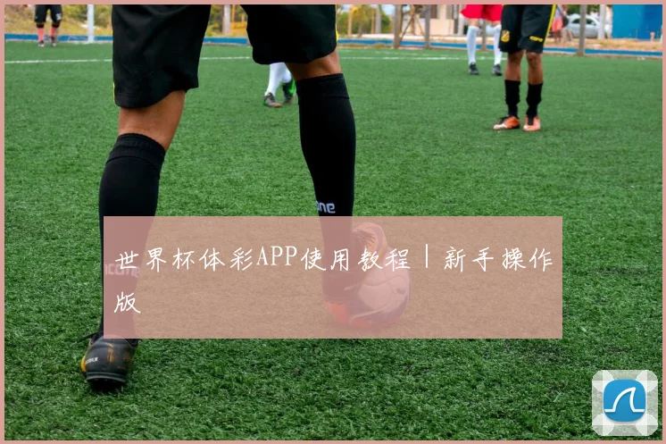 世界杯体彩APP使用教程｜新手操作版