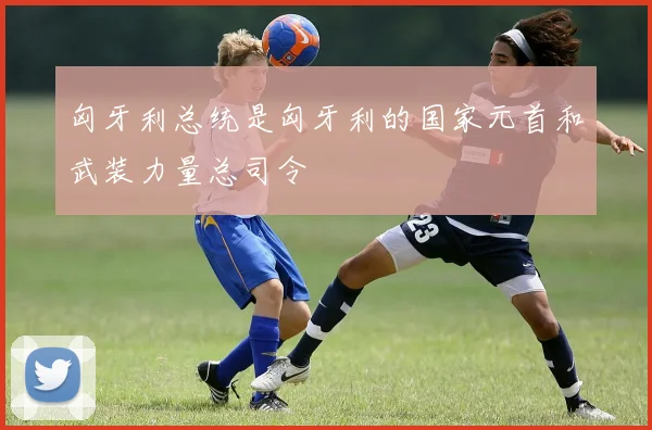 匈牙利总统是匈牙利的国家元首和武装力量总司令