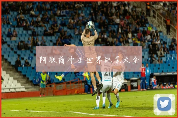 阿联酋冲击世界纪录大全