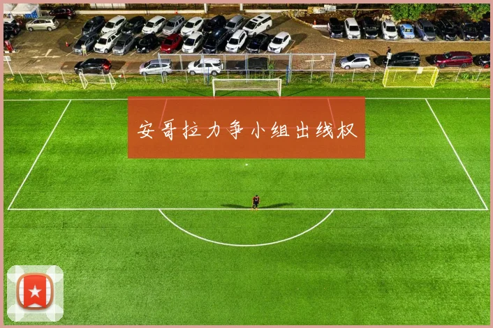 安哥拉力争小组出线权