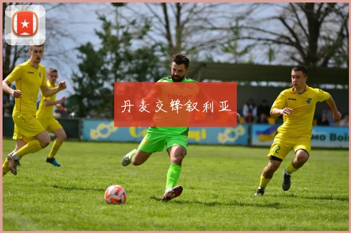 丹麦交锋叙利亚
