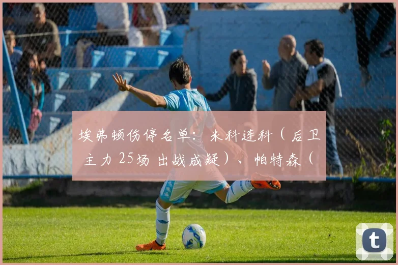 埃弗顿伤停名单：米科连科（后卫 主力 25场 出战成疑）、帕特森（后卫 主力 13场 出战成疑）、勒温（前锋 主力 11场1球 出战成疑）、汤森德（中场 替补 0场 受伤）