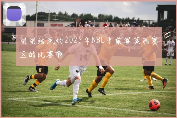 刚刚结束的2025年NBL季前赛莱西赛区的比赛啊