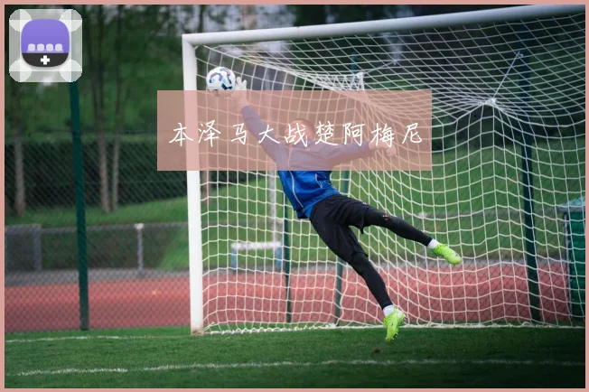 本泽马大战楚阿梅尼