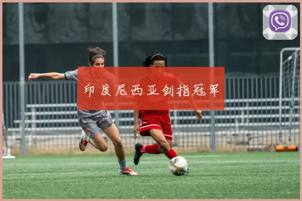 印度尼西亚剑指冠军