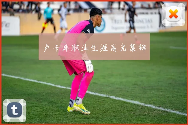 卢卡库职业生涯高光集锦