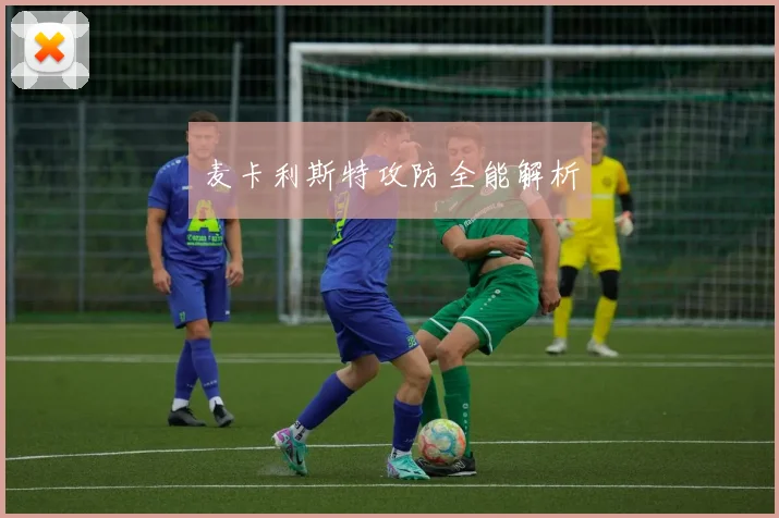 麦卡利斯特攻防全能解析