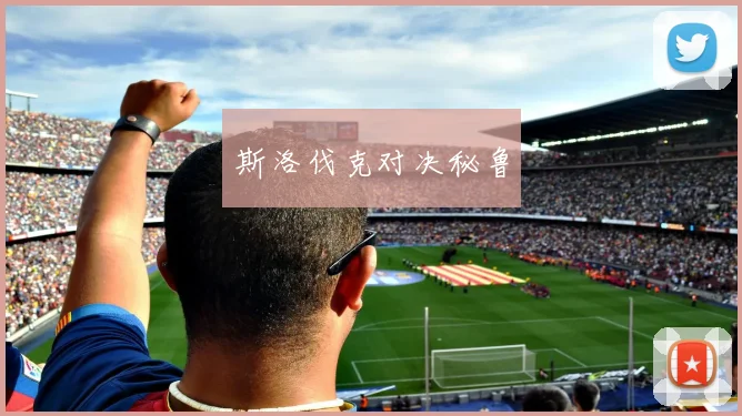 斯洛伐克对决秘鲁