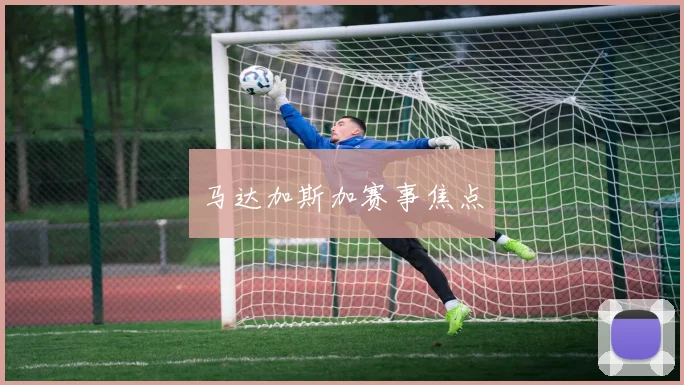 马达加斯加赛事焦点