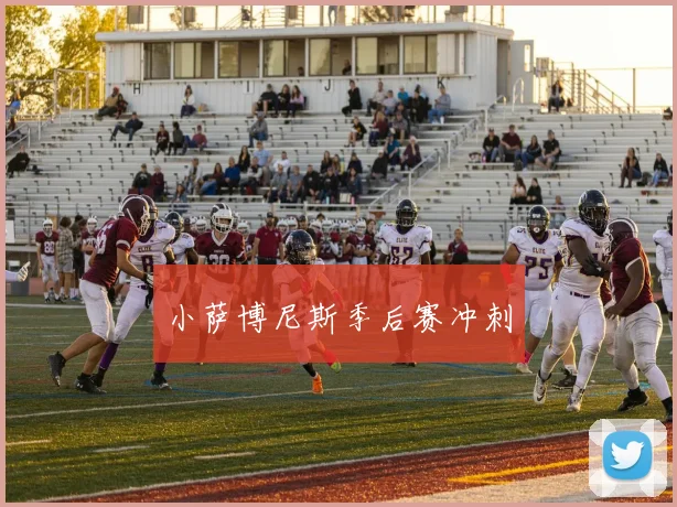 小萨博尼斯季后赛冲刺