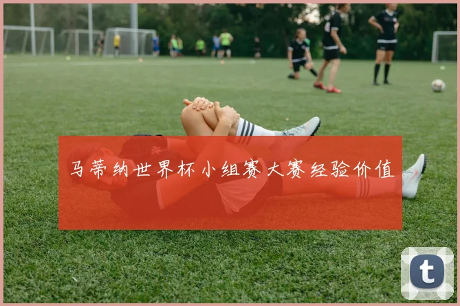马蒂纳世界杯小组赛大赛经验价值