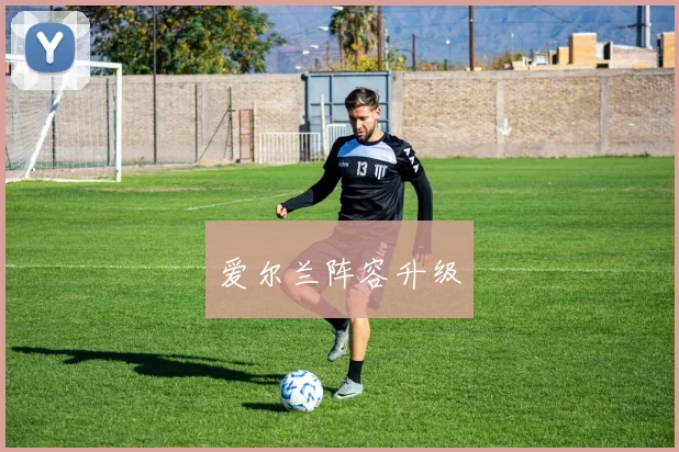 爱尔兰阵容升级