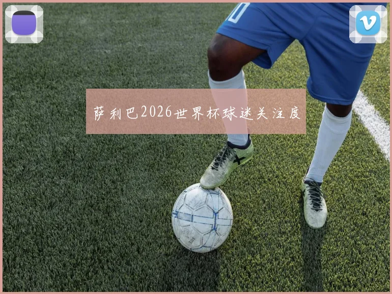萨利巴2026世界杯球迷关注度
