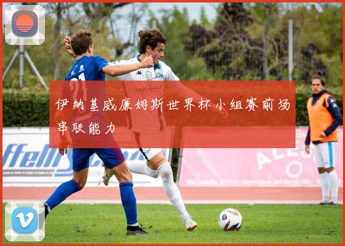 伊纳基威廉姆斯世界杯小组赛前场串联能力