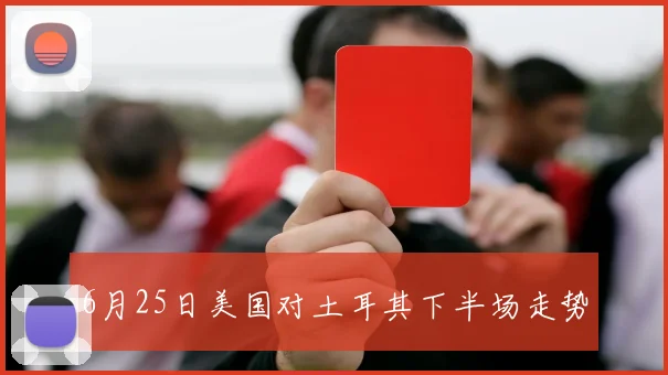 6月25日美国对土耳其下半场走势